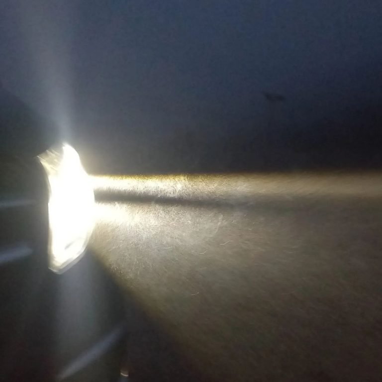 Sabías que .....Algunos animales, incluyendo insectos, dependen de la niebla húmeda como una fuente principal de agua, particularmente en